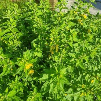 Продается Дом, 60 м²