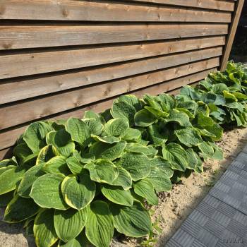 Продается Дом, 60 м²