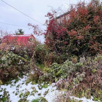 Продается Дом, 18 м²