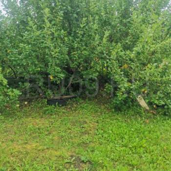 Продается Участок, 600 м²