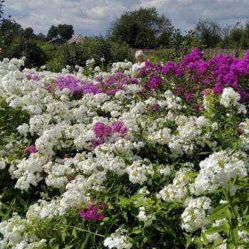 Продается Дом, 41 м²