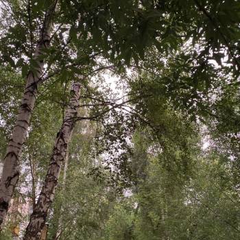 Продается 3-х комнатная квартира, 56 м²