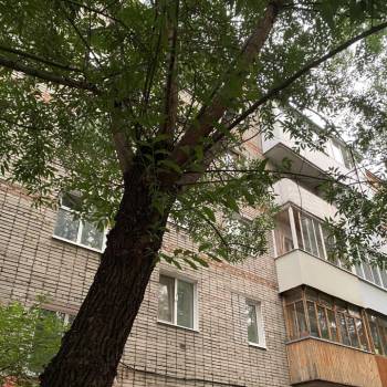 Продается 3-х комнатная квартира, 56 м²