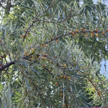 Продается Дом, 120 м²