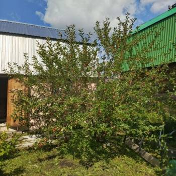 Продается Дом, 15 м²