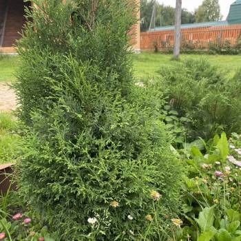 Продается Дом, 200 м²