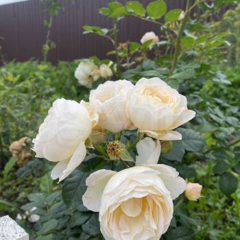 Продается Дом, 200 м²