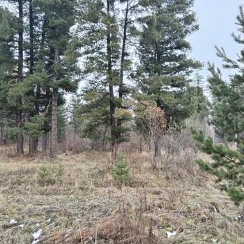 Продается Участок, 1500 м²