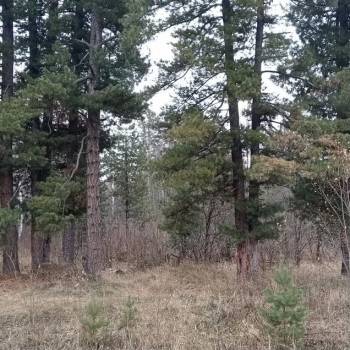 Продается Участок, 1500 м²