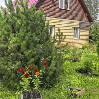 Продается Дом, 112 м²