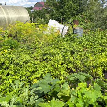 Продается Дом, 112 м²