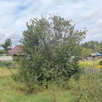 Продается Дом, 29 м²