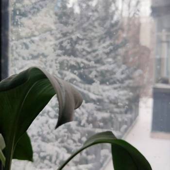 Продается 2-х комнатная квартира, 42,7 м²