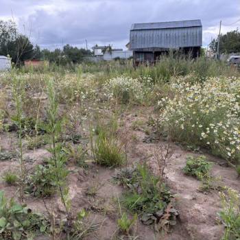 Продается Участок, 1200 м²