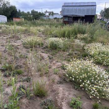 Продается Участок, 1200 м²