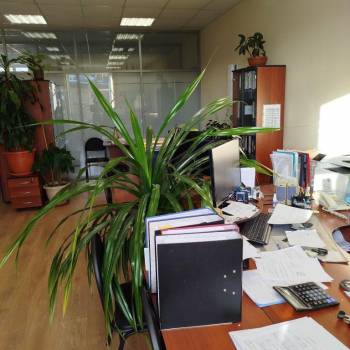 Сдается Нежилое помещение, 210 м²