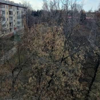 Продается 1-комнатная квартира, 30,6 м²