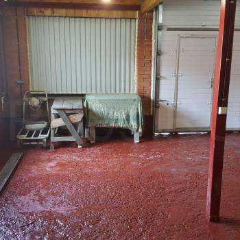 Сдается Нежилое помещение, 140 м²