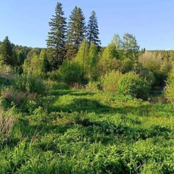 Продается Участок, 600 м²