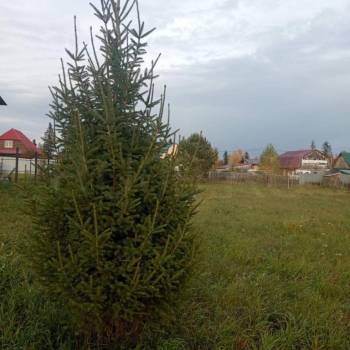 Продается Участок, 1500 м²