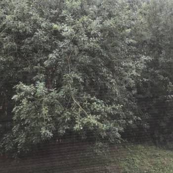 Продается 3-х комнатная квартира, 75 м²