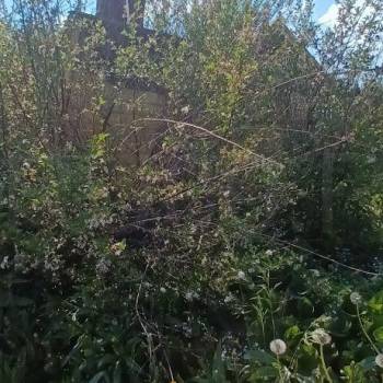 Продается Дом, 10 м²