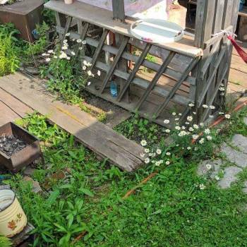 Продается Дом, 10 м²