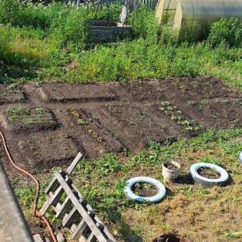 Продается Дом, 10 м²