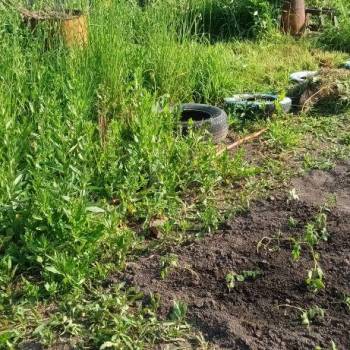 Продается Дом, 10 м²