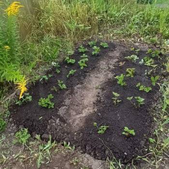 Продается Дом, 10 м²