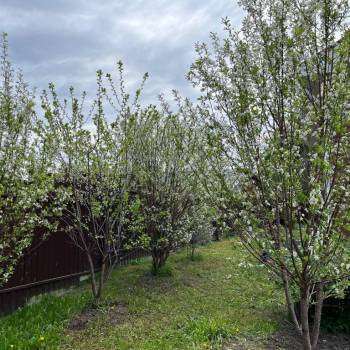 Продается Дом, 128 м²