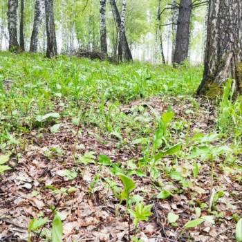 Продается Участок, 800 м²