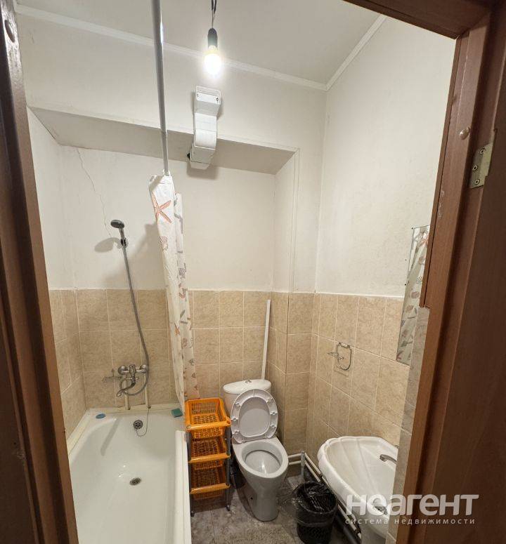 Фотография №5