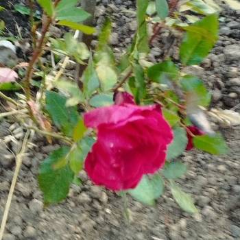 Продается Дом, 56 м²