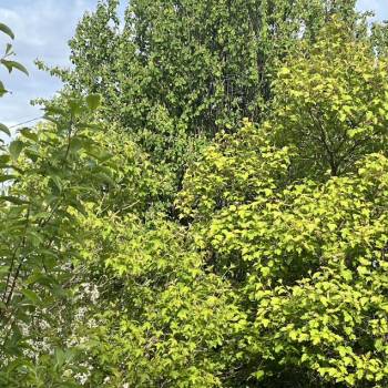 Продается Участок, 600 м²