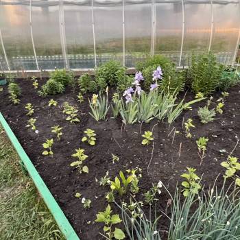 Продается Дом, 42 м²