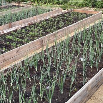 Продается Дом, 42 м²