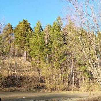 Продается 3-х комнатная квартира, 200 м²