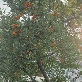 Продается Дом, 45 м²