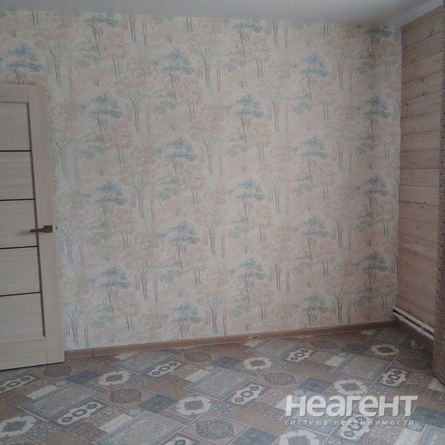 Фотография №5