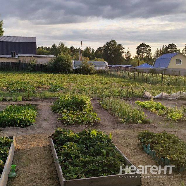 Фотография №2