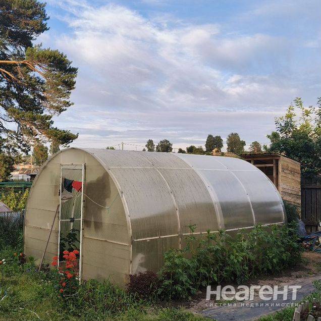 Фотография №5