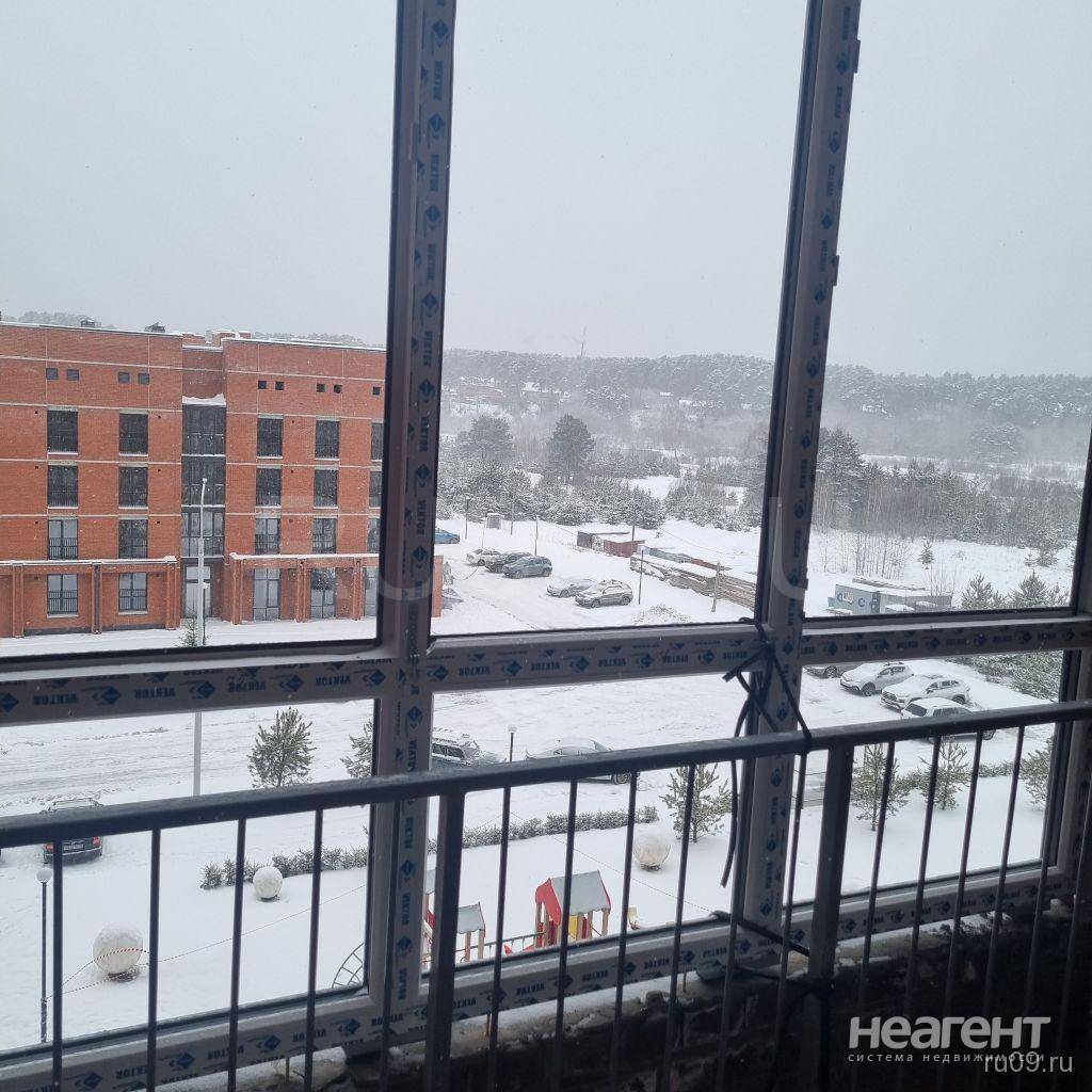 Фотография №3