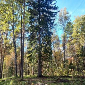 Продается Участок, 1500 м²