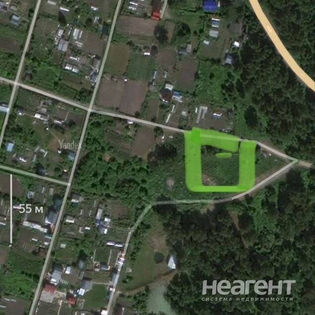 Фотография №3