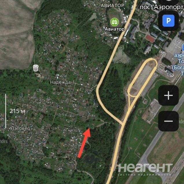 Фотография №4