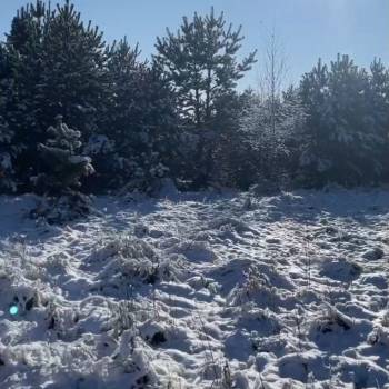 Продается Участок, 1000 м²