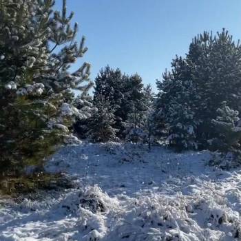 Продается Участок, 1000 м²