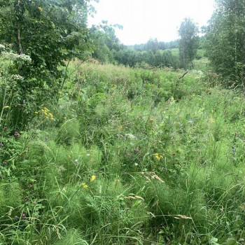 Продается Участок, 4000 м²