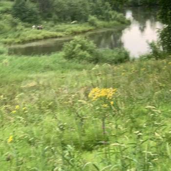 Продается Участок, 4000 м²